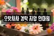 으랏차차 경락 지압 안마원