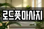 경북 경주시 노동동 마사지, 지압등 업체정보
