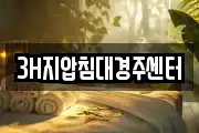 3H지압침대경주센터
