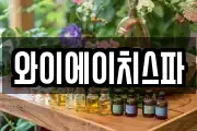 와이에이치스파