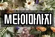 M타이마사지