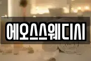 에오스스웨디시