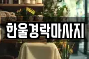 경북 구미시 금전동 마사지, 지압등 업체정보
