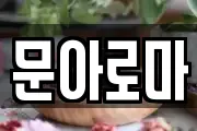 문아로마