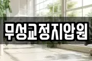 무성교정지압원