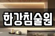 한강침술원