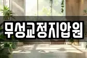 무성교정지압원