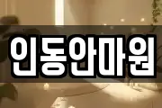 인동안마원