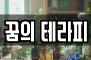 꿈의 테라피