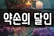 약손의 달인