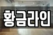 황금라인