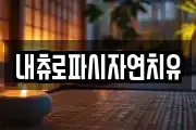 내츄로파시자연치유