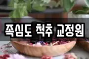 족심도 척추 교정원