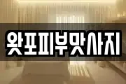 왓포피부맛사지