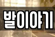 발이야기