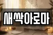 새싹아로마