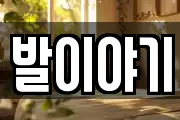 발이야기