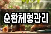 순환체형관리