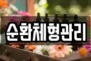 순환체형관리
