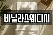 바닐라스웨디시