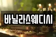 바닐라스웨디시
