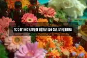 가구수거,가전수거,생활폐기물처리,유품정리,상가철거,매입