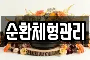 순환체형관리