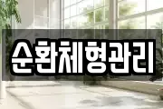 순환체형관리
