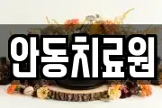 안동치료원