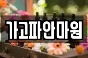 가고파안마원
