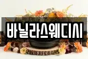 바닐라스웨디시