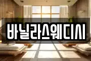 바닐라스웨디시