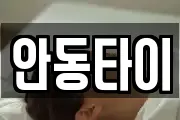 안동타이