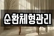 순환체형관리