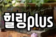 힐링plus