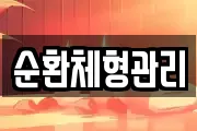 순환체형관리