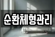 순환체형관리