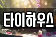 타이하우스