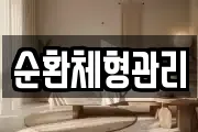 순환체형관리