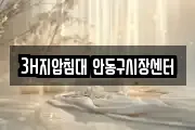 3H지압침대 안동구시장센터