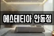 에스테티아 안동점