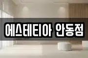 에스테티아 안동점