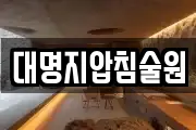 대명지압침술원