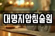 대명지압침술원