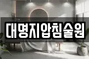 대명지압침술원