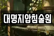 대명지압침술원