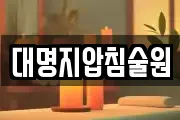 대명지압침술원