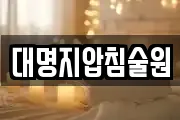 대명지압침술원