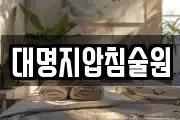 대명지압침술원