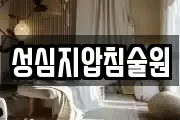 성심지압침술원